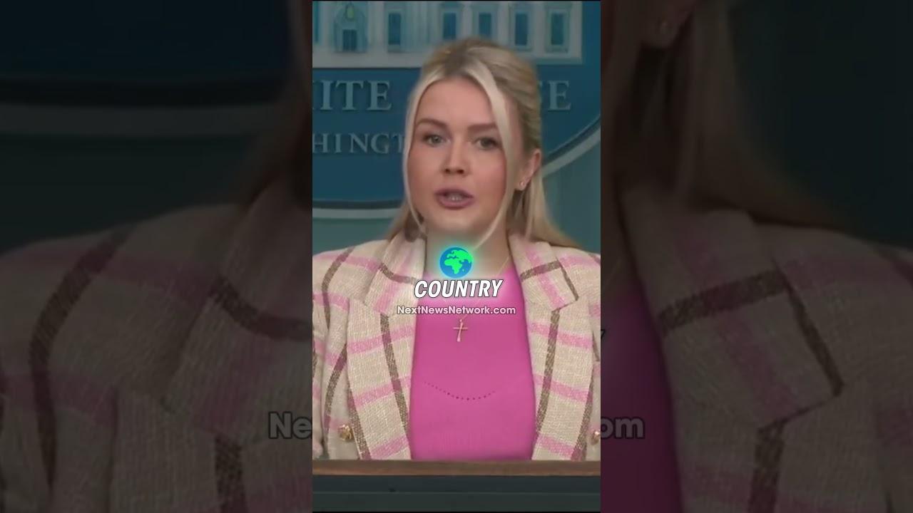 EXPOSED: Trump Team Reveals Democrats Think Their OWN Voters Are Too STUPID to Get ID