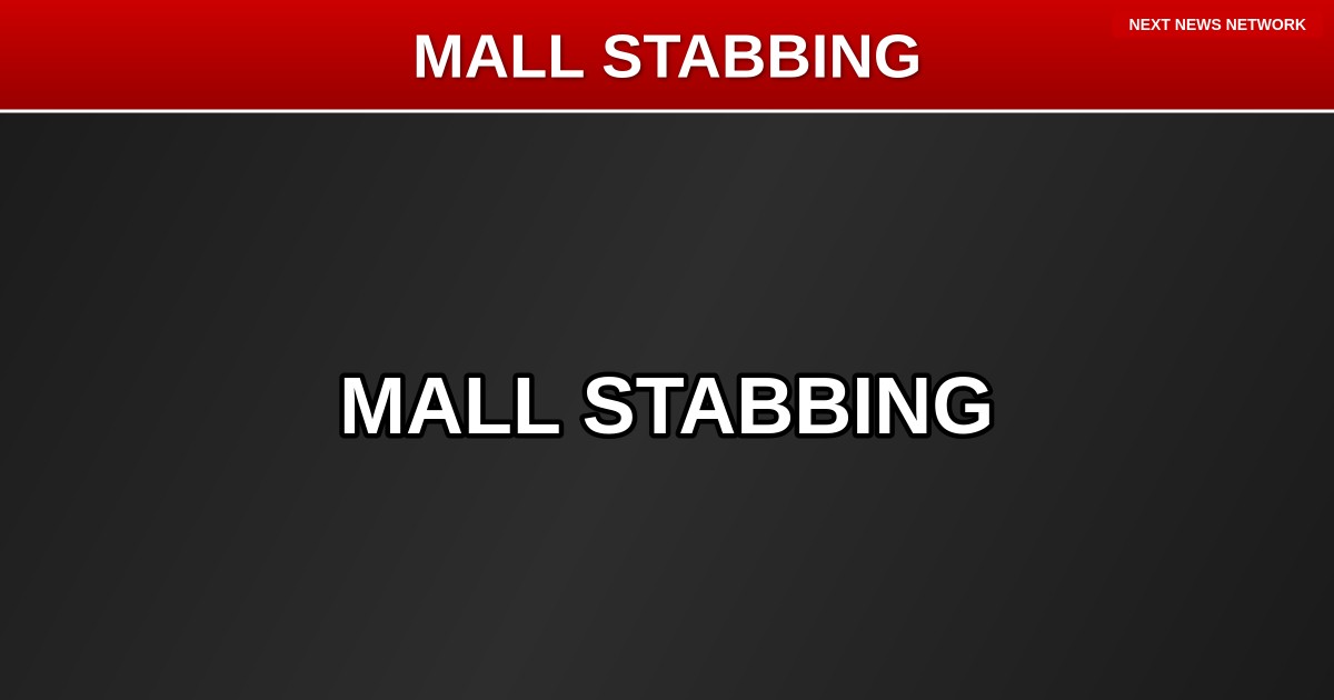 SAVAGE: Seven Thugs LAUGH After Ganging Up on Lone Victim in Mall Restroom Stabbing