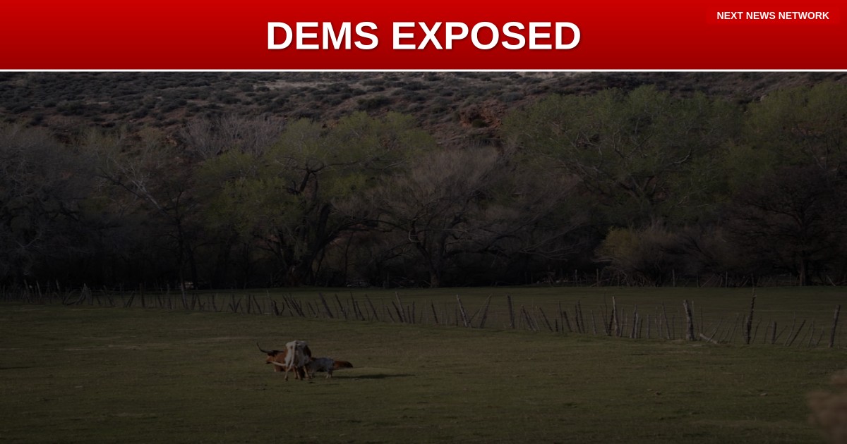 BOMBSHELL: Breitbart Editor EXPOSES How Dems Are 'Sacrificing American Lives for Illegal Immigration Institution'
