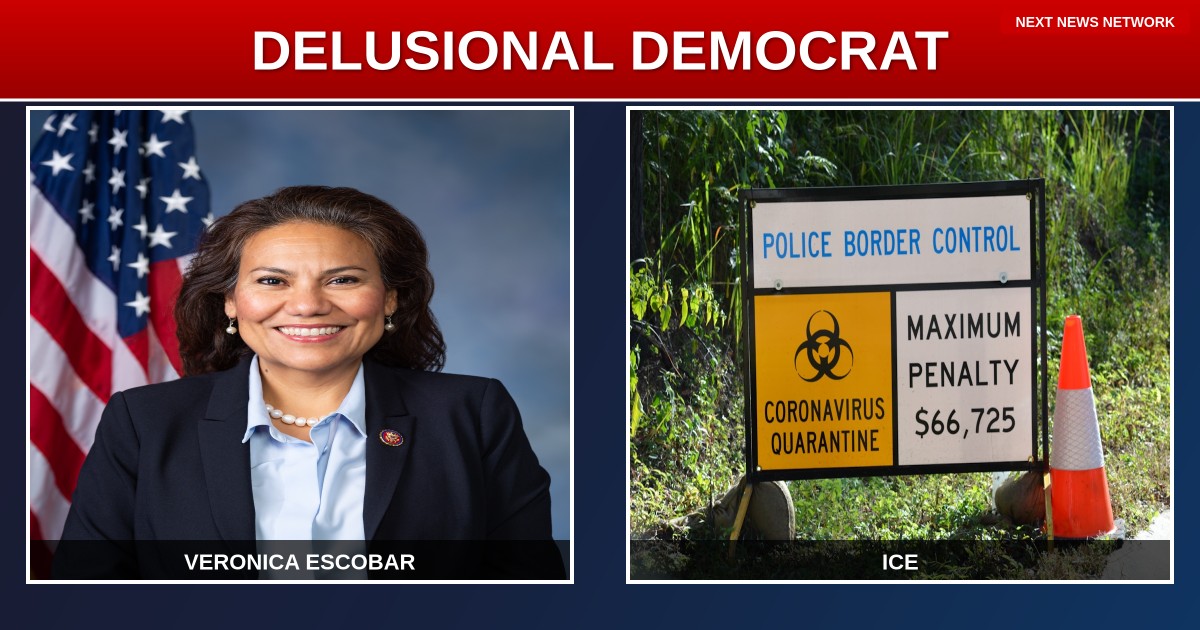 DELUSIONAL Democrat Claims Trump's Airport ICE Operations Have 'Absolutely No Reason'