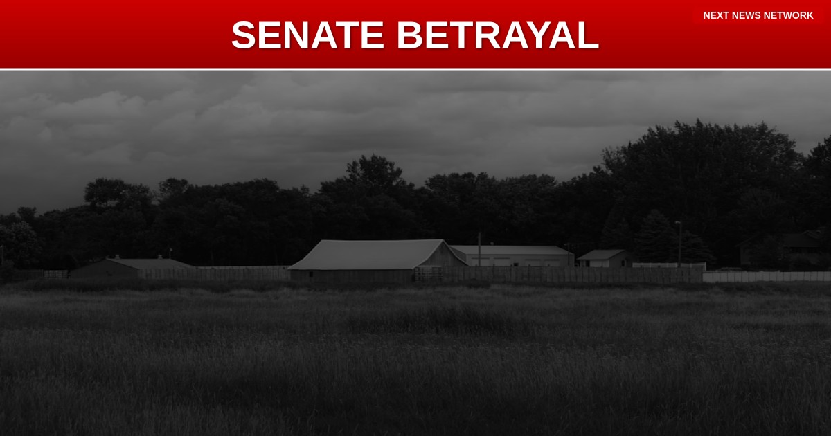 BETRAYAL: Senate RINOs Cut Deal with Democrats to SABOTAGE Trump's Immigration Crackdown