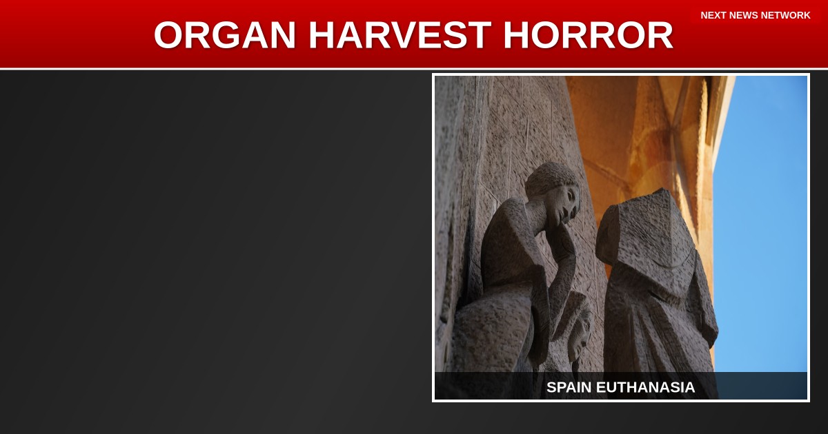 EXPOSED: Spain MURDERS 25-Year-Old Rape Victim to Harvest Her ORGANS - Democrats Want This HORROR in America