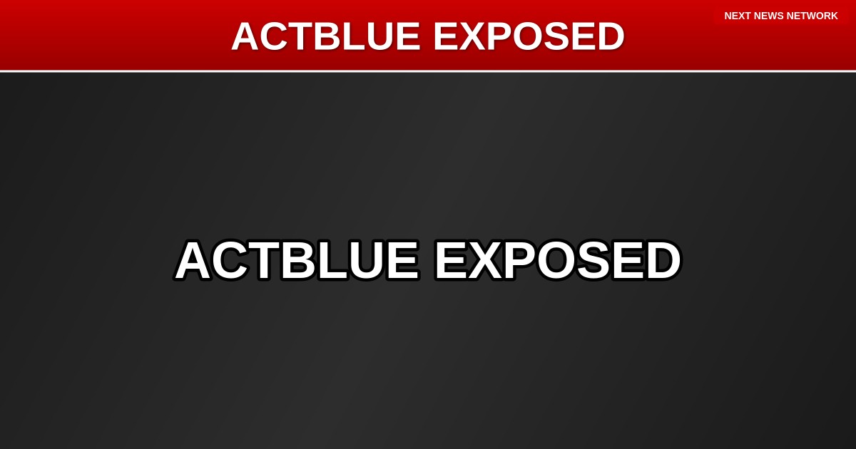 EXPOSED: Democrat Cash Cow ActBlue LIED to Congress About Foreign Money Flooding Elections