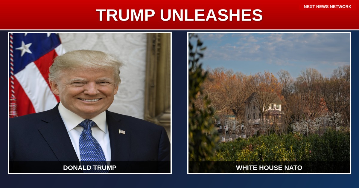 TRUMP UNLEASHES 'AMERICA FIRST' BOMBSHELL: NATO, Japan, and Australia CALLED OUT for Freeloading