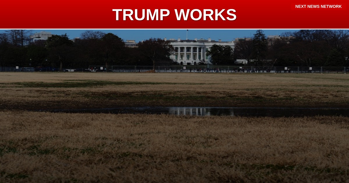 WORKING WEEKEND: President Trump Juggles Policy Meetings, MAGA Strategy Sessions, and UFC 327 in Action-Packed Schedule