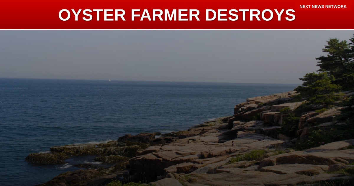 DEMOCRAT CHAOS: Oyster Farmer DESTROYS Schumer's Handpicked Maine Senate Candidate