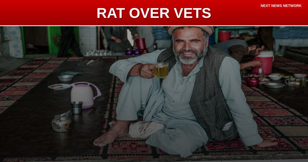 HERO RAT Gets 6-Foot Statue While Biden's Afghanistan Veterans Get FORGOTTEN