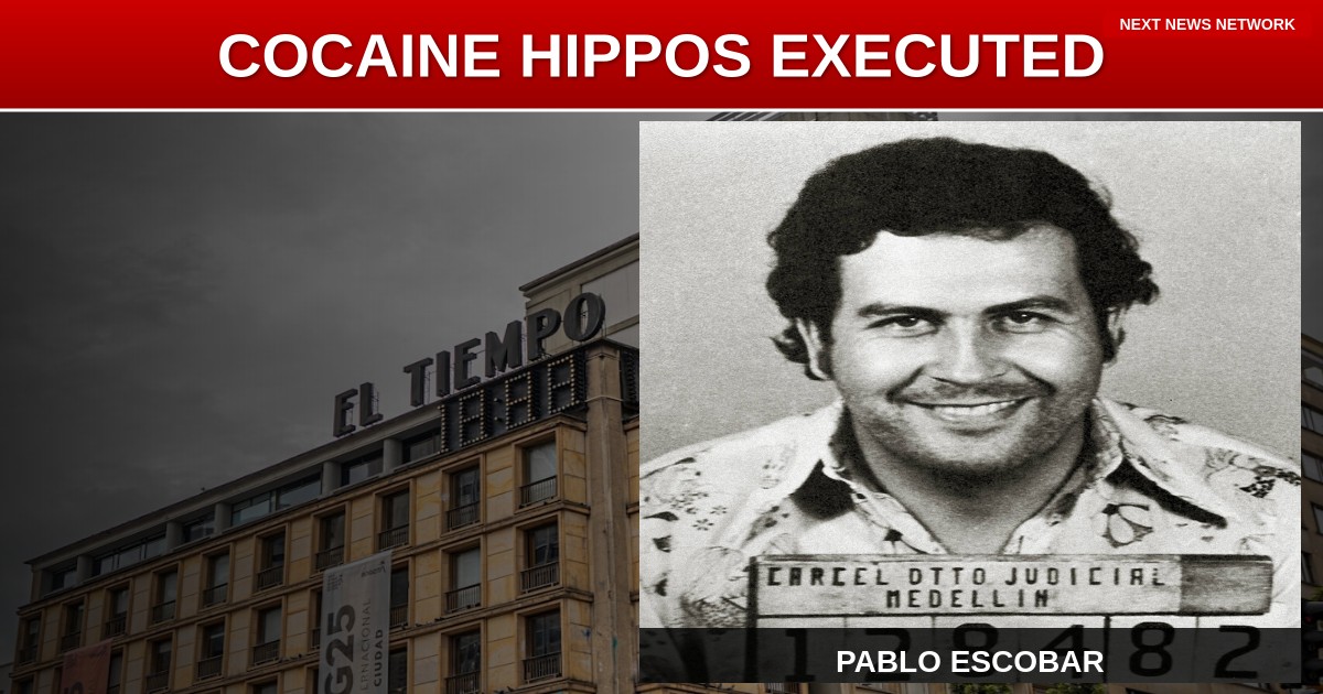 WILD: Colombia to Execute Pablo Escobar's Escaped 'COCAINE HIPPOS' After Decades of Chaos