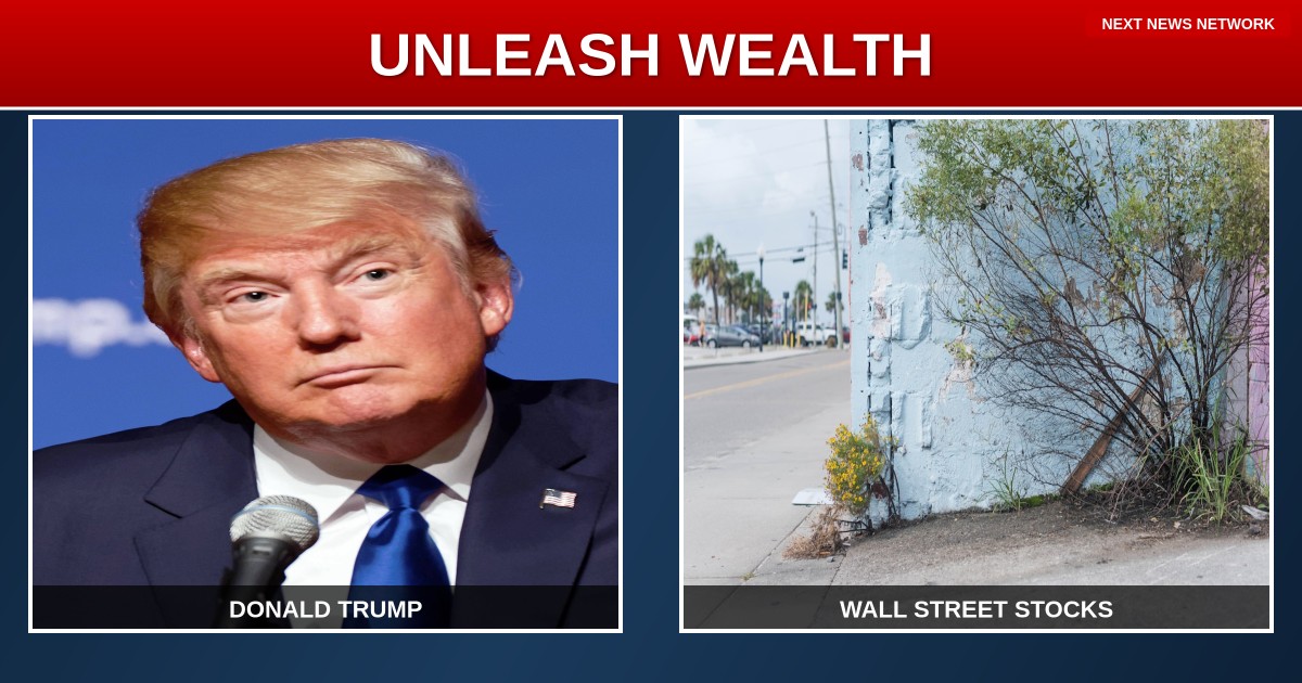 BREAKING: Stock Market Reforms Could UNLEASH Middle Class Wealth - Here's How Trump Can Make It Happen