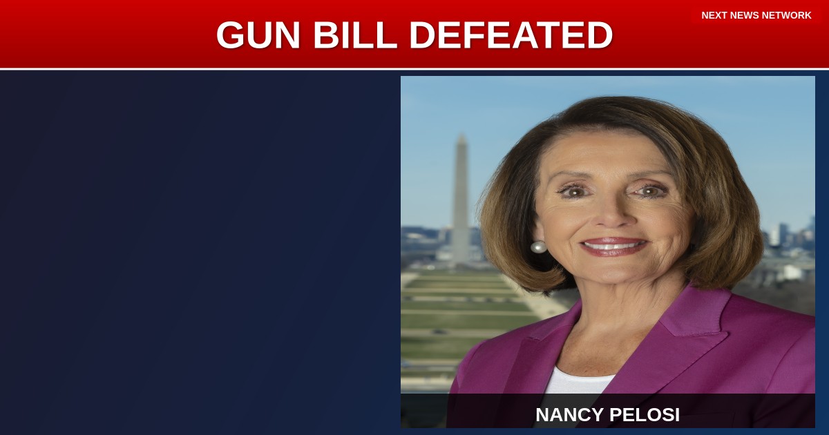 BOMBSHELL: Democrats FAIL in Gun Grab Attempt, Backlash ERUPTS