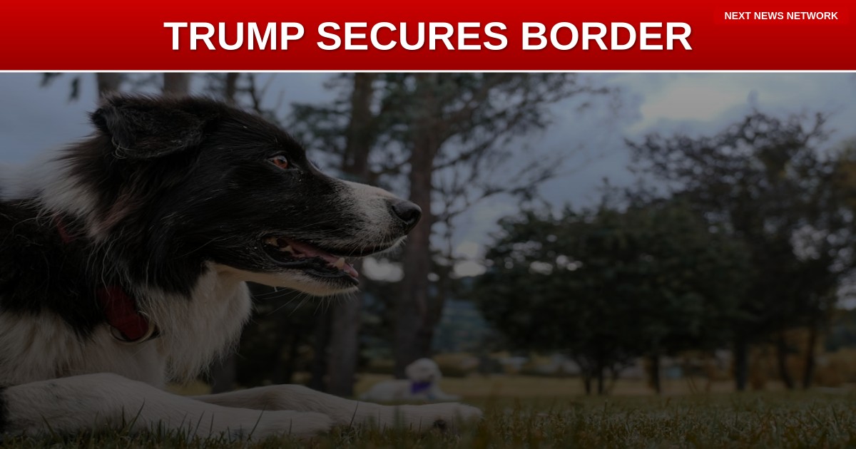 BREAKING: Trump Administration STRENGTHENS Border, LIBERALS MELT DOWN!